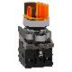 Selettore luminoso arancione D.22  - 2 posizioni - 24Vac/dc - 1NO+1NC- LED universale - SCHNEIDER ELECTRIC XB4BK125B5 product photo Photo 05 2XS