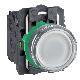 Pulsante luminoso bianco D.22 - filoghiera ad impulso - 24Vac/dc - 1NA+1NC- LED universale - SCHNEIDER ELECTRIC XB5AW31B5 product photo Photo 01 2XS