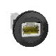 PORTA RJ45 PER CONNESSIONE ETHERNET - SCHNEIDER ELECTRIC XB5PRJ45 - SCHNEIDER ELECTRIC XB5PRJ45 - SCHNEIDER ELECTRIC XB5PRJ45 product photo Photo 01 2XS