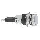 LAMPADA SPIA BIANCA - SCHNEIDER ELECTRIC XB6AV1BB - SCHNEIDER ELECTRIC XB6AV1BB - SCHNEIDER ELECTRIC XB6AV1BB product photo Photo 01 2XS