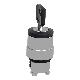 TESTA SELETTORE A CHIAVE 3 POSIZIONI - SCHNEIDER ELECTRIC ZB4BG0 - SCHNEIDER ELECTRIC ZB4BG0 product photo Photo 05 2XS