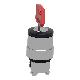 Testa selettore a chiave con chiave speciale - SCHNEIDER ELECTRIC ZB4BG08F034 product photo Photo 04 2XS