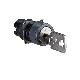 Testa selettore circolare D.16- 2 posizioni - Ronis 200 - SCHNEIDER ELECTRIC ZB6AGL product photo Photo 01 2XS