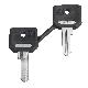 Chiave di ricambio - 455 - set di 2 chiavi, con cappuccio - SCHNEIDER ELECTRIC ZBG455P product photo Photo 01 2XS