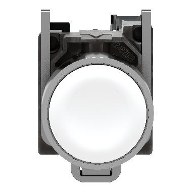 PULSANTE BIANCO - SCHNEIDER ELECTRIC XB4BA11 - SCHNEIDER ELECTRIC XB4BA11 - SCHNEIDER ELECTRIC XB4BA11 product photo Photo 06 3XL