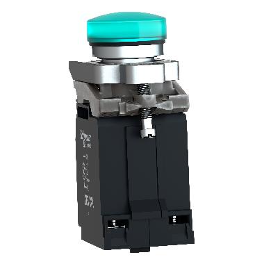 Lampada spia D.22  - IP65 - verde - lampadina BA 9S - 120V - SCHNEIDER ELECTRIC XB4BV33 product photo Photo 05 3XL