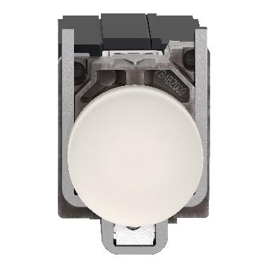 Lampada spia D.22  - IP65 - bianca - lampadina BA 9S - 230V - SCHNEIDER ELECTRIC XB4BV41 product photo Photo 06 3XL