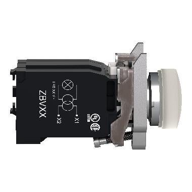 Lampada spia D.22  - IP65 - bianca - lampadina BA 9S - 230V - SCHNEIDER ELECTRIC XB4BV41 product photo Photo 08 3XL