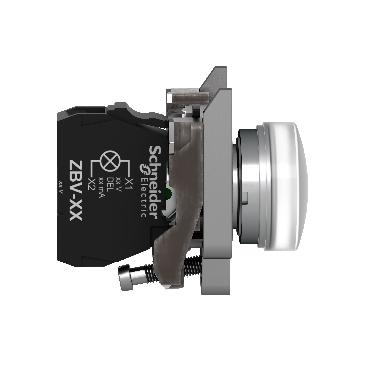 LAMPADA SPIA BIANCA LED  ATEX - SCHNEIDER ELECTRIC XB4BVB1EX - SCHNEIDER ELECTRIC XB4BVB1EX - SCHNEIDER ELECTRIC XB4BVB1EX product photo Photo 06 3XL