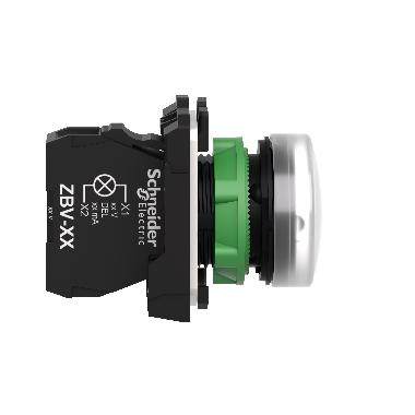 LAMPADA SPIA BIANCA 24V - SCHNEIDER ELECTRIC XB5AVB1 - SCHNEIDER ELECTRIC XB5AVB1 - SCHNEIDER ELECTRIC XB5AVB1 product photo Photo 06 3XL