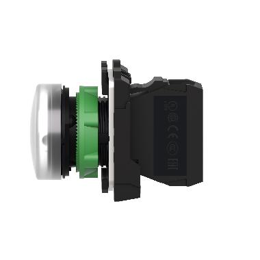 LAMPADA SPIA BIANCA 24V - SCHNEIDER ELECTRIC XB5AVB1 - SCHNEIDER ELECTRIC XB5AVB1 - SCHNEIDER ELECTRIC XB5AVB1 product photo Photo 07 3XL