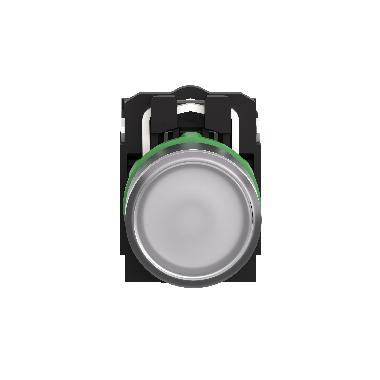 Pulsante luminoso bianco D.22 - filoghiera ad impulso - 24Vac/dc - 1NA+1NC- LED universale - SCHNEIDER ELECTRIC XB5AW31B5 product photo Photo 06 3XL