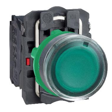 Pulsante luminoso verde D.22 - filoghiera ad impulso - 250V - 1NA+1NC - SCHNEIDER ELECTRIC XB5AW3365 product photo Photo 01 3XL