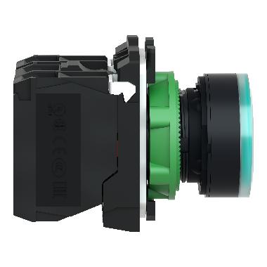 Pulsante luminoso verde D.22 - filoghiera ad impulso - 250V - 1NA+1NC - SCHNEIDER ELECTRIC XB5AW3365 product photo Photo 08 3XL