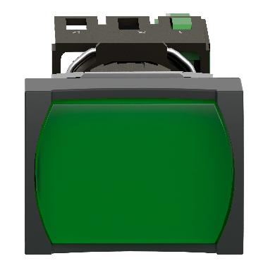 PULSANTE LUMINOSO VERDE - SCHNEIDER ELECTRIC XB6DW3B1B - SCHNEIDER ELECTRIC XB6DW3B1B - SCHNEIDER ELECTRIC XB6DW3B1B product photo Photo 04 3XL