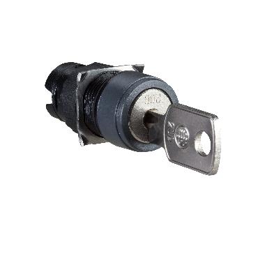 Testa selettore circolare D.16 - 2 posizioni - Ronis 200 - SCHNEIDER ELECTRIC ZB6AGC product photo Photo 01 3XL