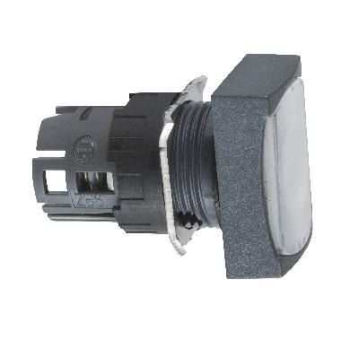 Testa pulsante luminoso rettangolare D.16 - bianca - SCHNEIDER ELECTRIC ZB6DF1 product photo Photo 01 3XL