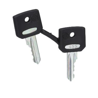 Chiave di ricambio - 455 - 2/CONF. - SCHNEIDER ELECTRIC ZBG455 product photo Photo 01 3XL