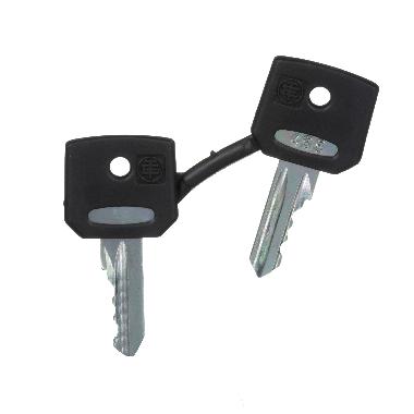 Chiave di ricambio - 455 - 2/CONF. - SCHNEIDER ELECTRIC ZBG455 product photo Photo 04 3XL