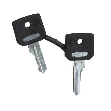 Chiave di ricambio - 455 - 2/CONF. - SCHNEIDER ELECTRIC ZBG455 product photo Photo 05 3XL