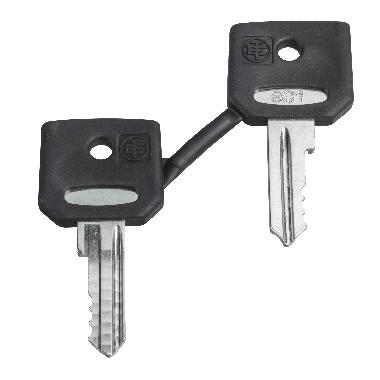 Chiave di ricambio - 455 - set di 2 chiavi, con cappuccio - SCHNEIDER ELECTRIC ZBG455P product photo Photo 01 3XL