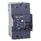Interruttore solo magnetico NG125L 2P MA 40A 50kA - SCHNEIDER ELECTRIC 18874 product photo