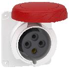 Presa fissa BT da incasso diritta IP67 32A 380V 3PT cablaggio rapido - SCHNEIDER ELECTRIC PKY32G734 product photo