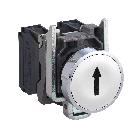 Pulsante bianco D.22  filoghiera ad impulso - FRECCIA SU - 1NO - SCHNEIDER ELECTRIC XB4BA3341 product photo