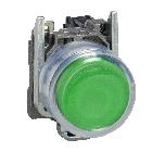 Pulsante verde D.22  - ad impulso - 1 NO - ATEX - SCHNEIDER ELECTRIC XB4BP31EX product photo