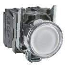 Pulsante luminoso bianco D.22  - filoghiera ad impulso - 230Vac - 1NO+1NC- LED universale - SCHNEIDER ELECTRIC XB4BW31M5 product photo