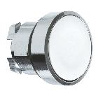 TESTA PULSANTE BIANCO - SCHNEIDER ELECTRIC ZB4BA1 product photo