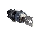 Testa selettore circolare D.16 - 2 posizioni - Ronis 200 - SCHNEIDER ELECTRIC ZB6AGC product photo