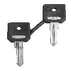 Chiave di ricambio - 455 - set di 2 chiavi, con cappuccio - SCHNEIDER ELECTRIC ZBG455P product photo